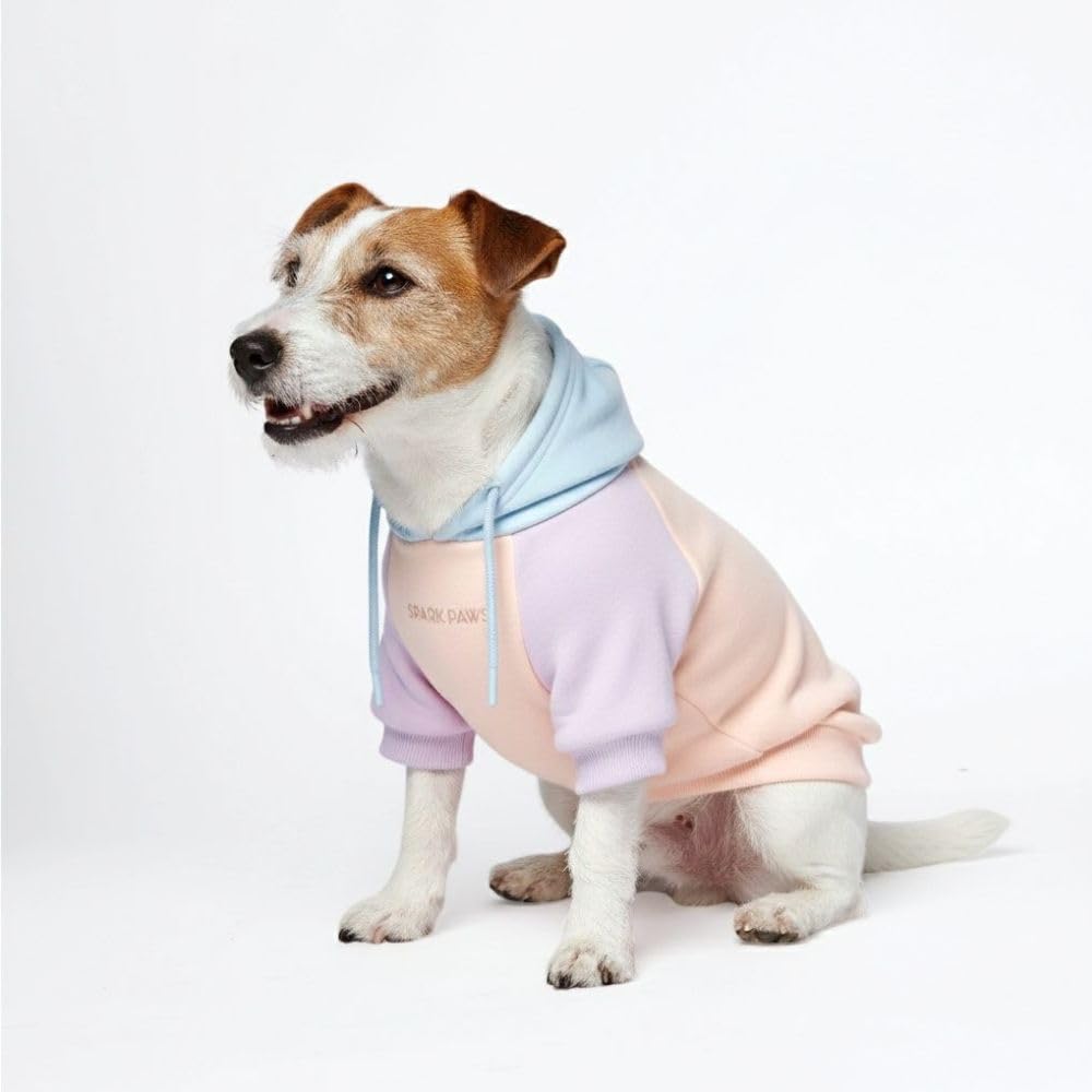 Amazon.com : Spark Paws Dog Hoodie – Premium Dog Sweater for Small