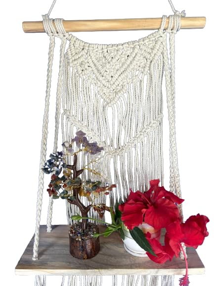 Muizz Macrame Wall Hanging Shelf Wood Plant Hanger - Modern Chic Decor for Dorm, Living Room, Nursery | Bohemian Decor