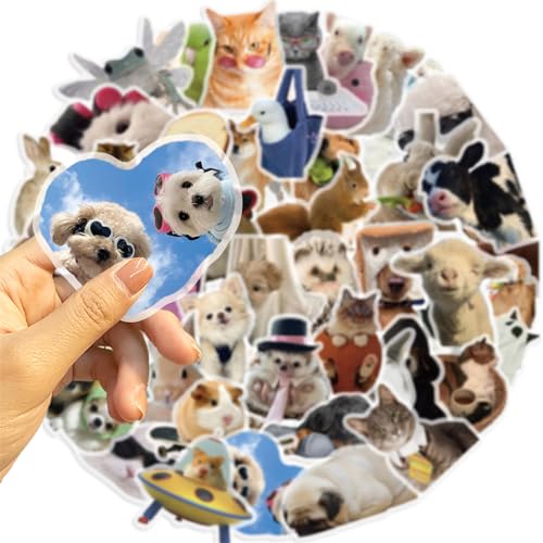 image for SVGDHZK 50Pieces Cat Dog Meme Stickers, Funny Animal Transparent PET S
