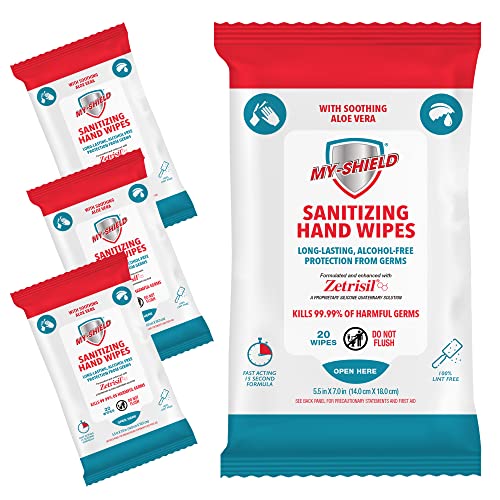 Sanitizing Hand Wipes - Travel Pack - 20 Count (4-pack) Alcohol-Free