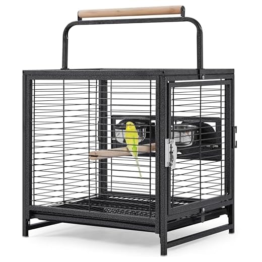 Best way ti travel with umbrella cockatoo Yaheetech Wrought Iron Travel Bird Cage