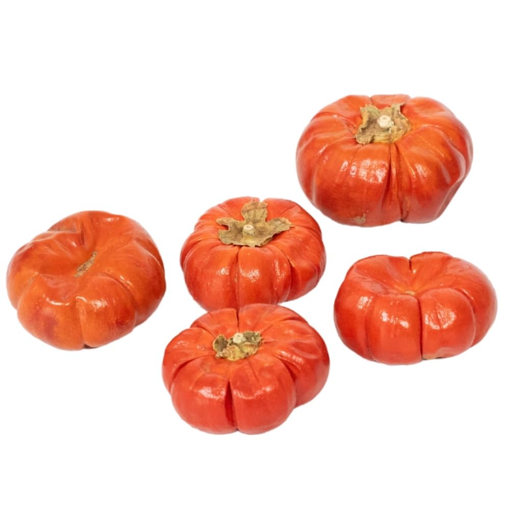 Rainbow Eco Play Natural Mini Pumpkins, Autumn Decorations, Festive Floristry and Display, Seasonal Arrangements, Halloween Crafts, Decorations, Wreath Making, Garlands, Home Décor