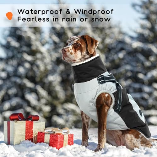 Hundemantel mit Geschirr, Hundejacke Winter Hundemantel mit Bauchschutz Hunderegenmantel Mittelgroße Hunde Hundepullover Wasserdicht(Schwarz, M)