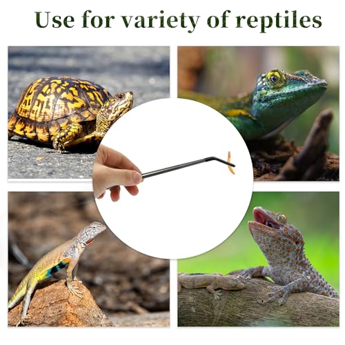 Image of Reptile Feeding Tongs, Stainless Steel Lizard Feeding Tongs, Aquarium Curved Feeding Tweezers for Reptiles with Rubber Tip, Terrarium Feeding Tongs 10.63 inch L, Black Silver Tone