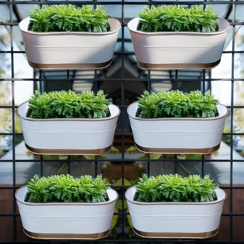 TrustBasket 12 inches, Set of 6 Railing Planter – Premium UV Resi...