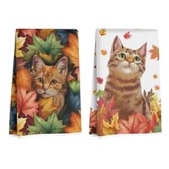 Maple Leaves and Cats