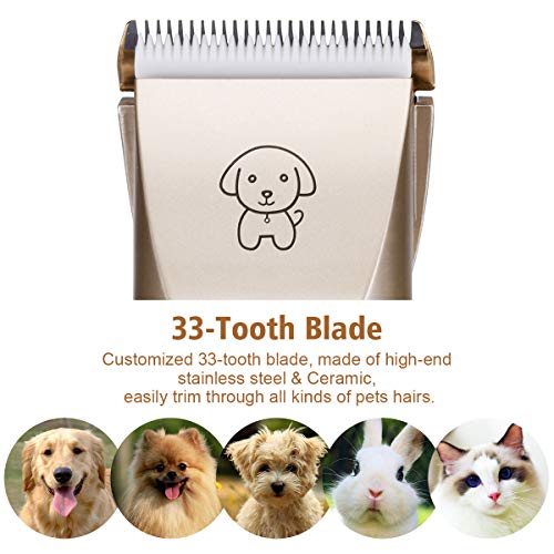 GAMURRY Dog Clippers, Pet Shaver Clippers, Low Noise Cordless Dog Grooming Kit, Electric Pet Hair Trimmers for Dogs Cats… - Image 2