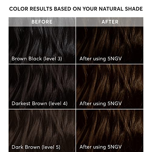 Madison Reed Perfect Pair Hair Color Set - Brunette, Radiant Hair Color Kit in Napoli Brown - 5NGV and Color Reviving Gloss in Miele