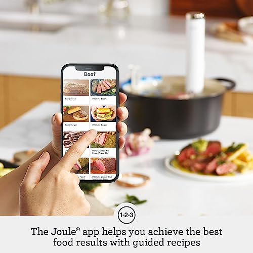 Breville BSV600PSS Joule Turbo Sous Vide Machine, Polished Stainless Steel