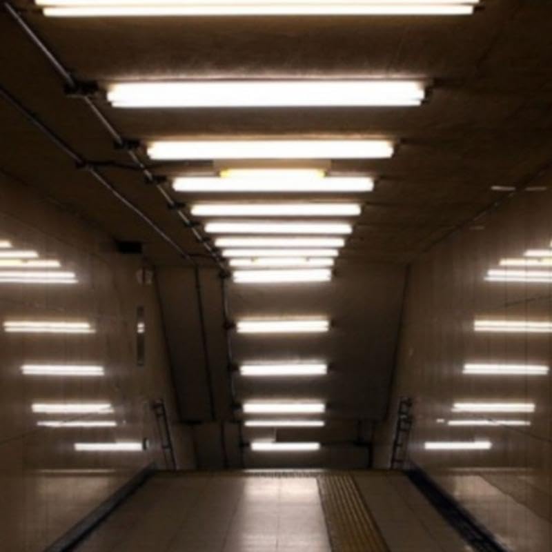 SILAMP Tube néon LED 60cm T5 9W - Pack de 10 - Blanc Froid 6000K - 8000K