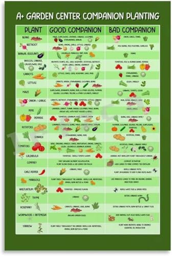 Companion Planting Chart Poster Garden Plant Types Reference (1) Canvas for Bedroom Living Room Decor (Unframe-style, 08x12inch(20x30cm))