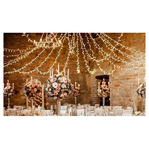 Guirnalda Enlazable, 12M, Led Cálido y Cable Blanco, Especial Eventos, Carpas, Bodas, Terrazas, Alta Calidad