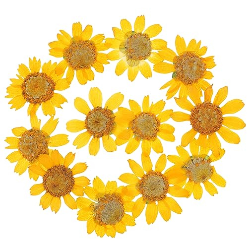 Flores Margaritas Secas para Artesanías Resina 24 piezas miniatura 1