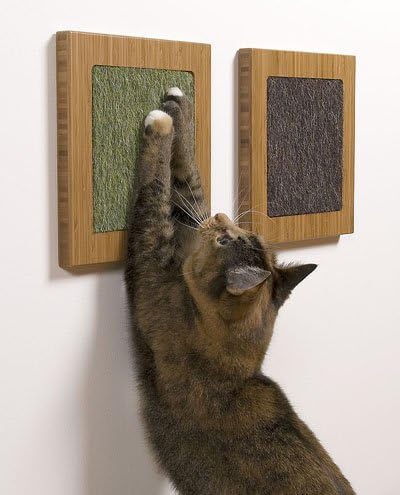 wall cat scratcher