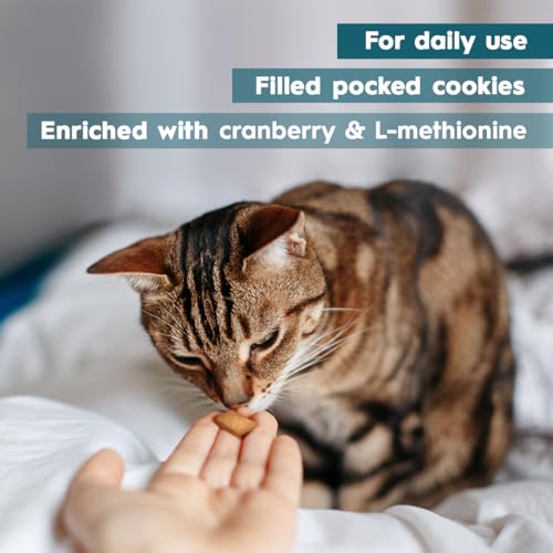 AmeizPet Katzen Leckerlies Harntrakt Für Katze, Harnwegs-Leckerli Für Katzen Für Gesunde Harnwege, Leckerer Snack Für Den Täglichen Genuss Für Alle Katzen, 65 g (2.3 oz)