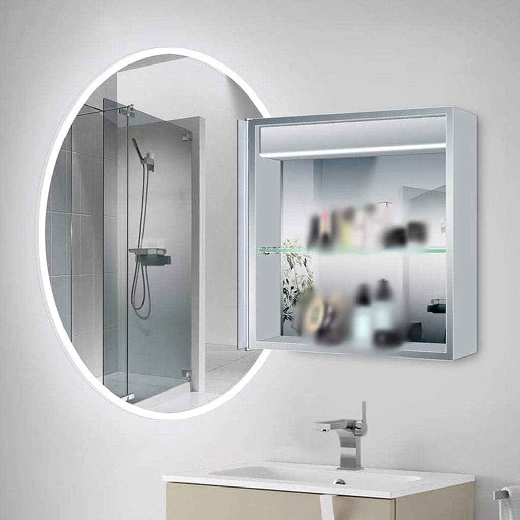 Bathroom Cabinet Double Illuminated Bathroom Mirror Wall Mounted Metal Modern Storage Cupboard LED Adjustable Lights Oval