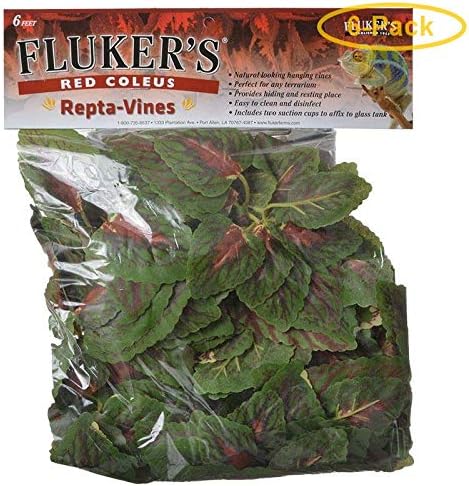 Fluker's Red Coleus Repta-Vines 6' Long - Pack of 6