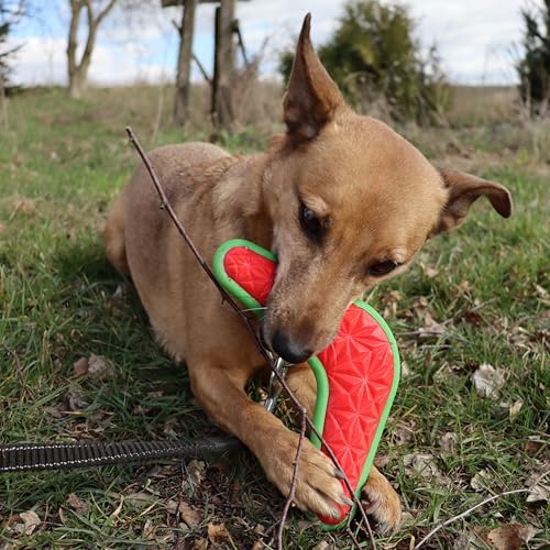 Dingo Hundespielzeug aus Hart Gummi TPR Boomerang 23 cm 17395