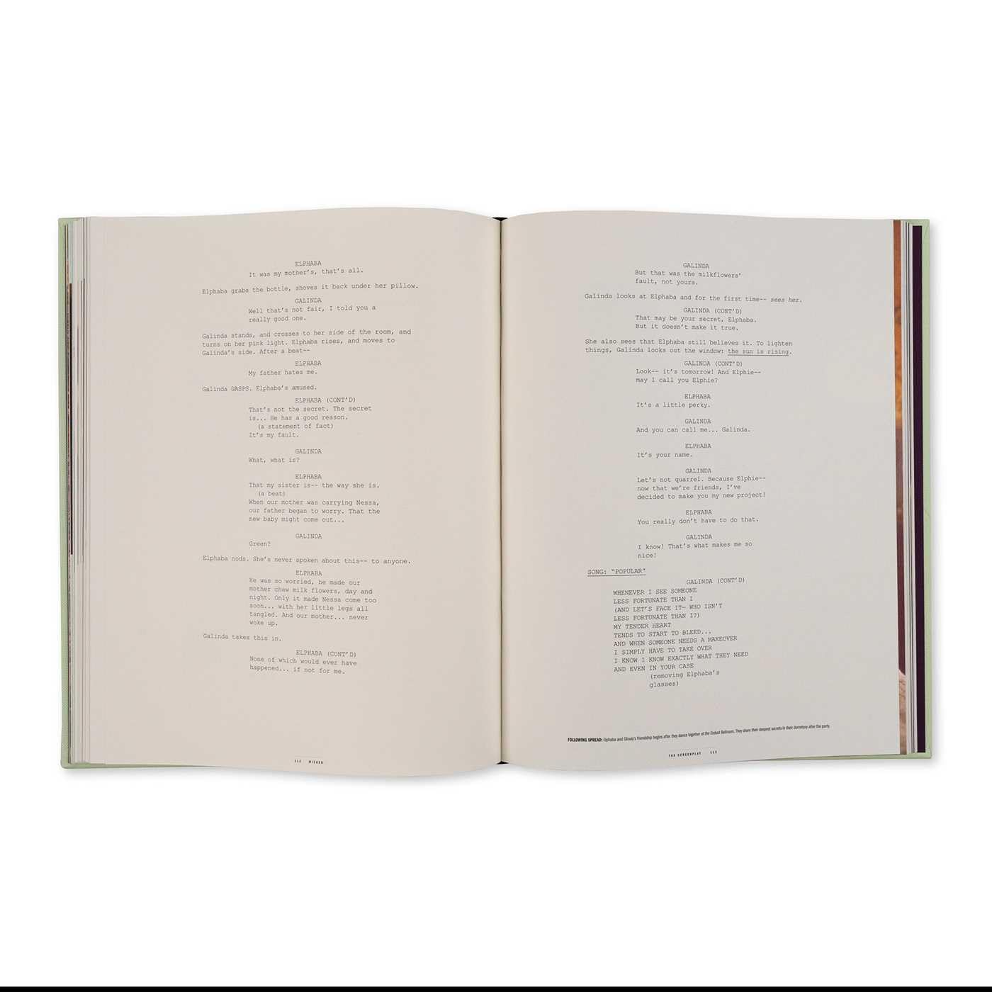 Wicked the Complete Screenplay: The Official Script Book