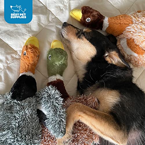 Image of Best Pet Supplies Dog Chew Toys for Small and Medium Dogs, Tough Interactive Squeaky Plush Stuffed Animal Toys - 3 Mallard Ducks Bundle