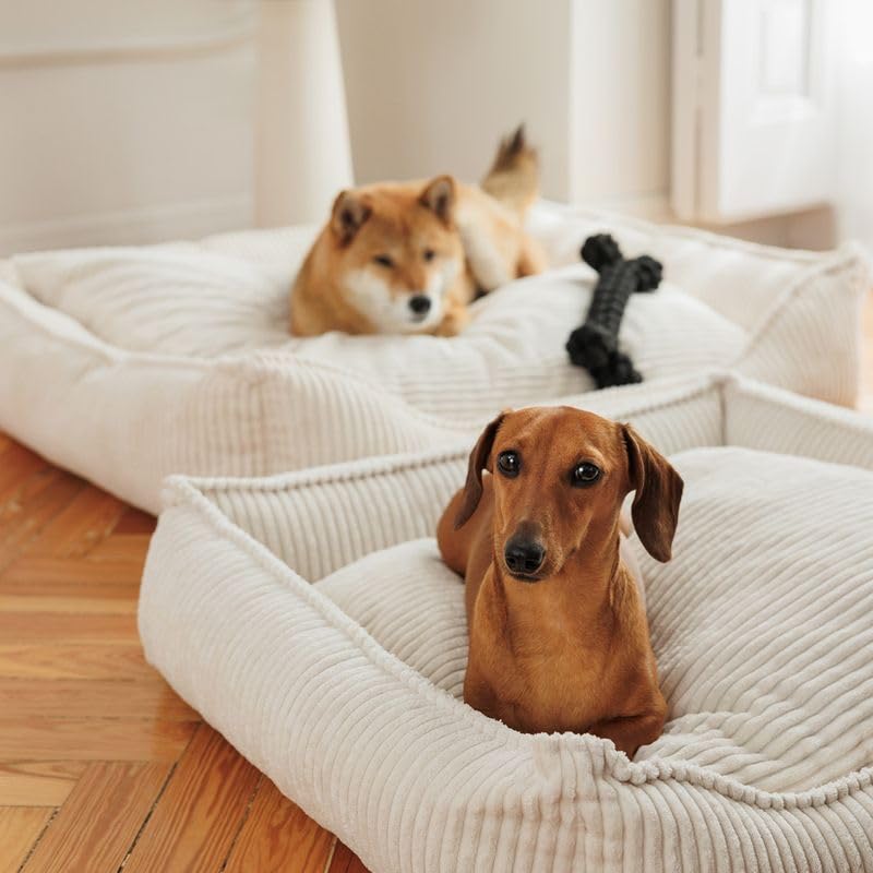 Modern Living Hundebett Helena | Komfortables Hundebett für kleine bis große Hunde | stilvolles Breitcord-Design | mit Memory Schaum gefüllt, Abnehmbarer Bezug (Beige, 65x60x18cm)