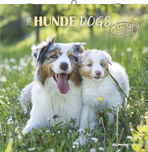 Alpha Edition - Hunde Kalender 2026 – Wandkalender 30x30 cm für Hundeliebhaber – 6-sprachiges Kalendarium mit Feiertagen & Ferienterminen, Monatsübersichten & viel Platz für Notizen, Ringbindung: Dogs