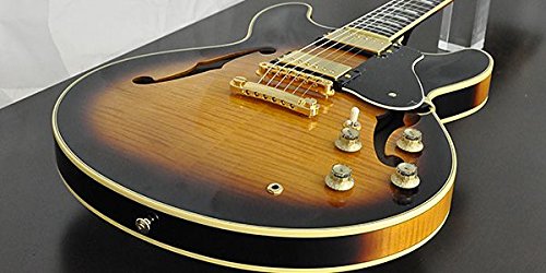 Amazon.co.jp: YAMAHA ヤマハ セミアコースティックギター SA-2200/ABS