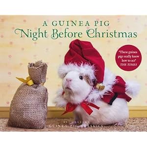 A Guinea Pig Night Before Christmas Guinea Pig Classics Hardcover October 20 2020