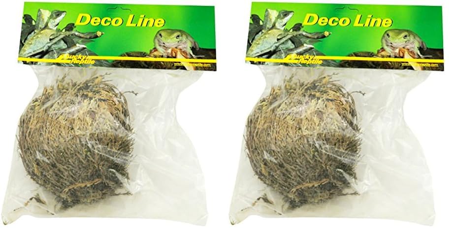 Lucky Reptile DL-RJ Rose Von Jericho (Paquete de 2)