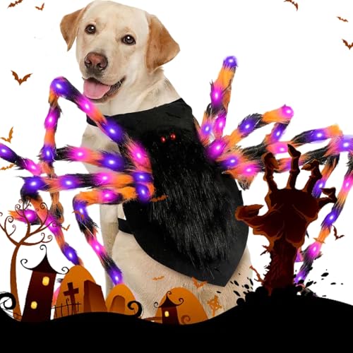 Big Dog Halloween Kostüme, großes Hundespinnenkostüm, riesige Spinnen -Halloween -Kostüm für mittelgroße Hunde, lustige Kostüme
