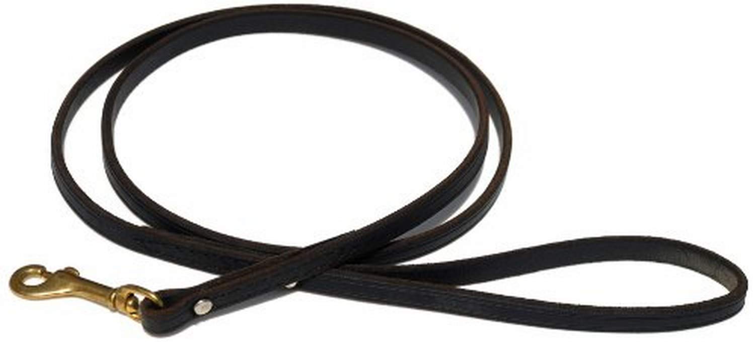 Ray Allen Mfg Signature K9 Standard Leather Leash