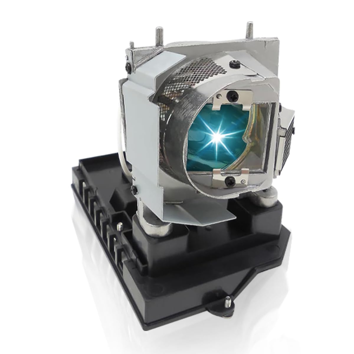 NP20LP Lampada proiettore di ricambio con alloggiamento per NEC U300X, U310W Videoproiettore