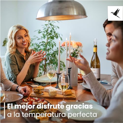 Beyond Enfriador de Botellas de Vino Acero Inoxidable con Vertedor – Varilla Enfriadora Accesorio ideal y Regalo para Amantes del Vino Hombre Mujer | Para Vino Blanco y Tinto (Set de Regalo) - imagen 7
