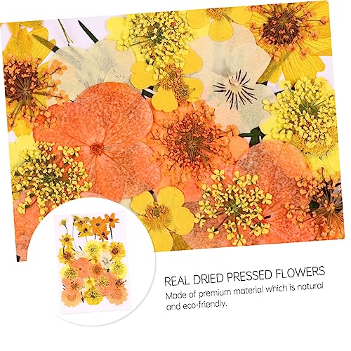 Kit 40 flores secas prensadas naranja para manualidades miniatura 4