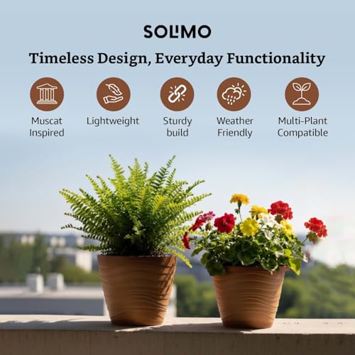 Image of Amazon Brand- Solimo Indoor and Outdoor Round 10 Inch Muscat Flower Planter Pot Best for Terrace /Balcony /Home /Office Decor - Set of 2