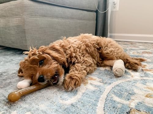 Image of Nylabone Power Chew Classic Bone Chew Toy for Dogs, Durable Dog Toys for Aggressive Chewers, Chicken Flavor, Large /Giant - Up to 50 lbs. (1 Count)