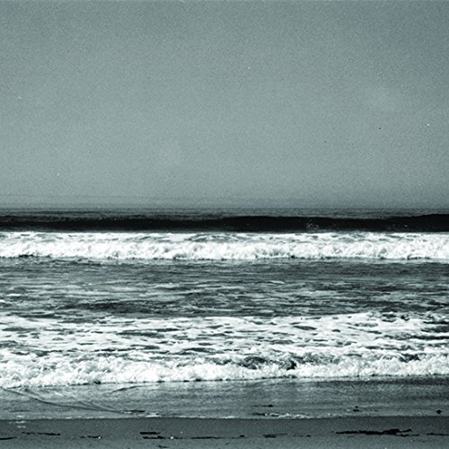 Pedals / Petals (Black Vinyl)