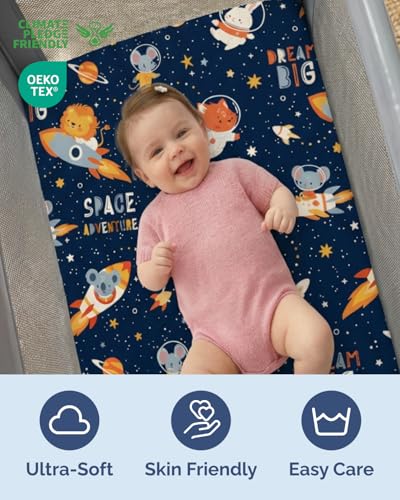 View 3