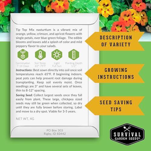 Nasturtium Seeds for Planting – Survival Garden Seeds (1 Pack) - Image 2