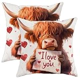 Fermeture éclair dissimulée : la fermeture éclair dissimulée garantit que la housse de coussin est facile à mettre et à enlever, parfaite pour un usage quotidien ; coussin non inclus