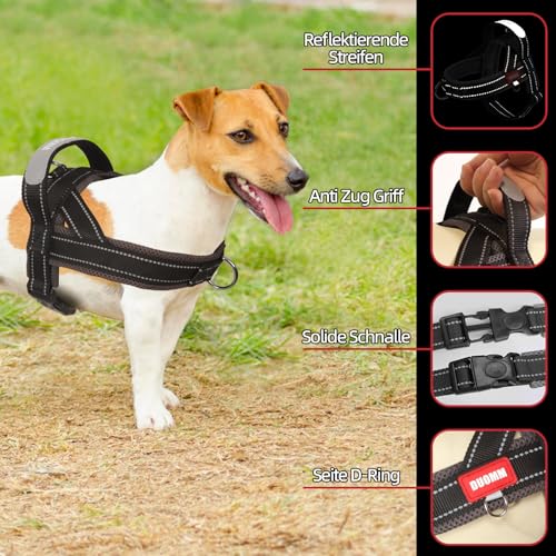 LiebeDD Hundegeschirr mit Leine für Mittelgroße Kleine Hunde Welpen, Bunt Farbblock Geschirr, Mesh Gepolstert Brustgeschirr Hund mit Griff und Brustring, Reflektierend & Leicht, Schwarzgrau, L