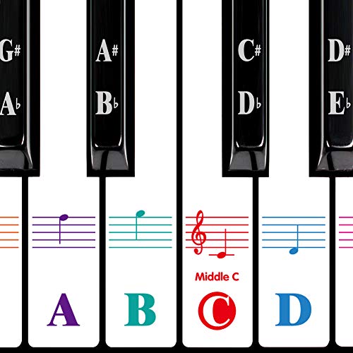 Piano Keyboard Stickers for 88/61/54/49/37 Key. Colorful Large Bold Letter Piano Stickers Perfect for kids Learning Piano. Multi-Color,Transparent,Removable