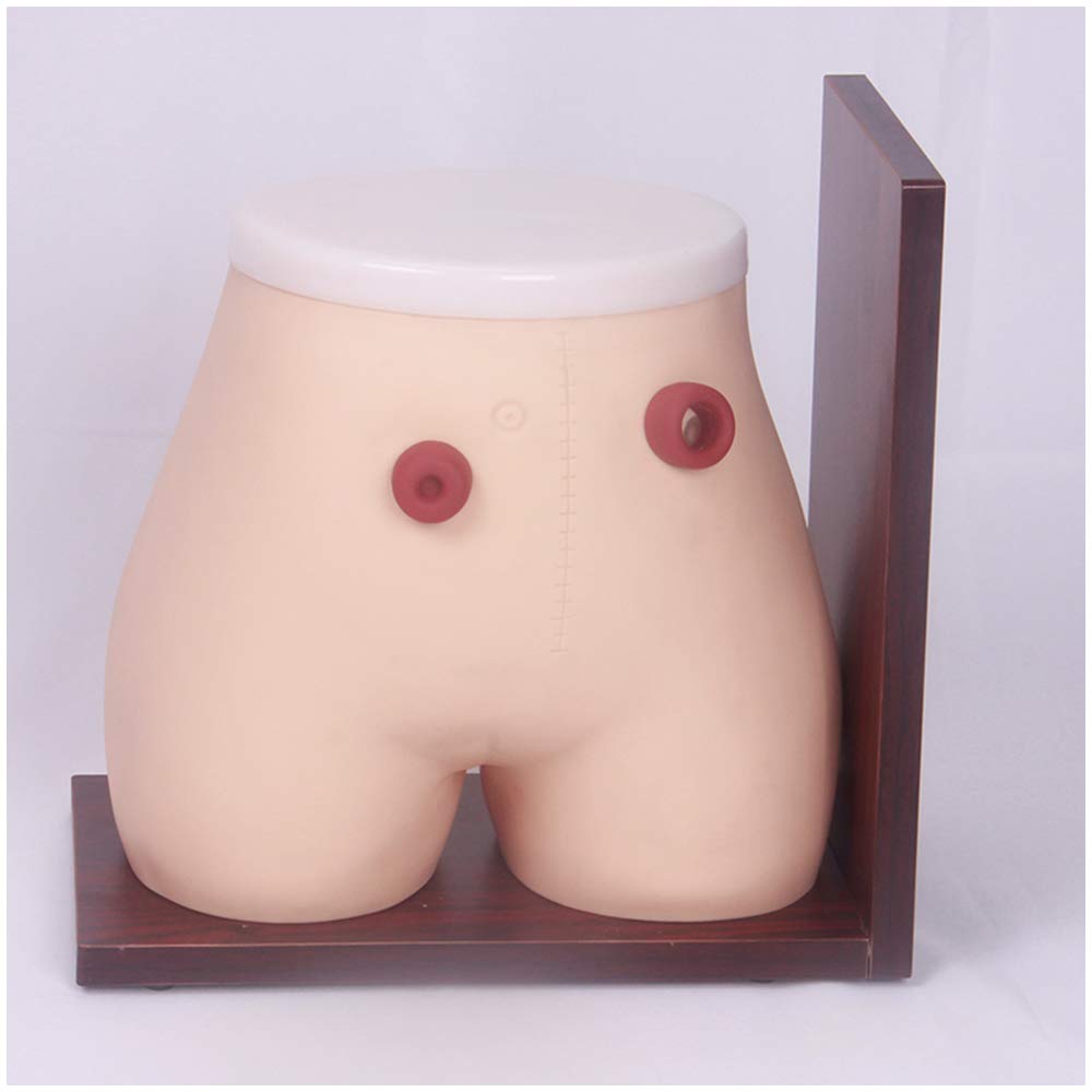 Sjdopulse Manikin Teaching Model - Advanced Fistula Ostomy Nursing Model - Assisted Defecation Enema Model - Fistula Ostomy Medical Care Model - For Nursing Medical Teaching