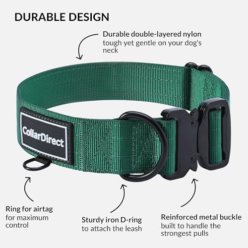 Image of Heavy Duty Waterproof Dog Collar, Double-Layered Nylon (Green, 15-23) | Adjustable heavy-duty collar for medium /large dogs; rugged double-layered nylon built to handle active, daily wear and tear