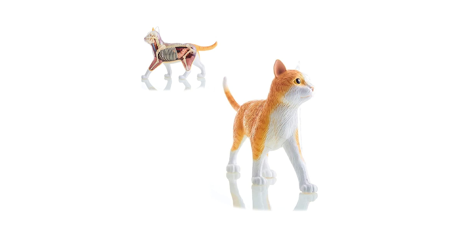 51q6I2nh1XL.jpg_BO30,255,255,