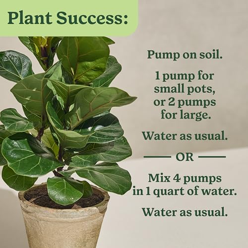 Miracle-Gro Indoor Plant Food for Tropicals, 8 fl. oz. (2-Pack) - image 6