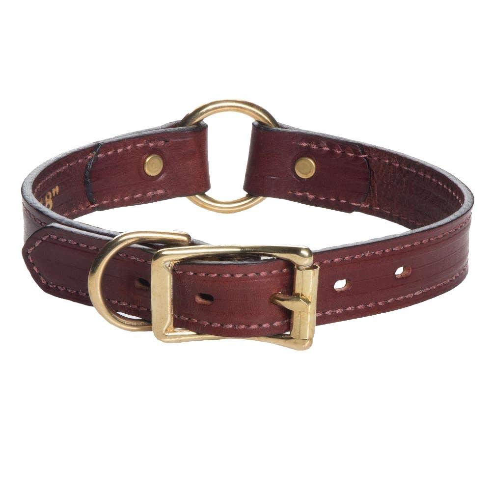 Mendota Pet Leather Hunt Collar - Dog Collar - Made in The USA