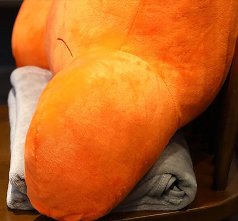 Office Chair Waist Pillow Cushion Soft Lumbar Pillow Sofa Car Rest Chair Pillow Bed Rest Reading Pillow with Removable Cover (Carrot)