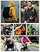 COOFANDY Men's Lightweight Waterproof Raincoat Hiking Travel Shell Breathable Rain Jacket