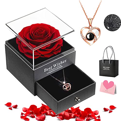 XINTM Conjunto Collar Rosa Eterna, con “I Love You”...